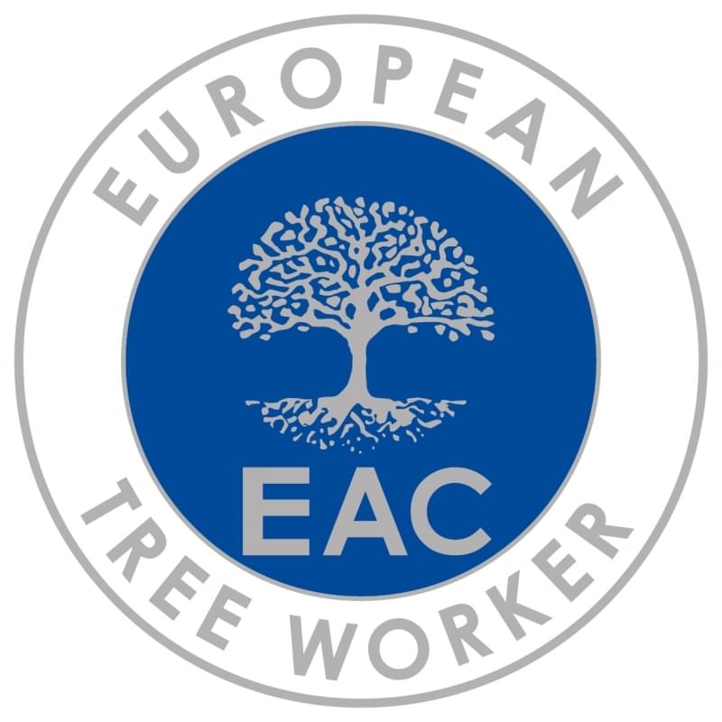 European tree worker in Quickborn